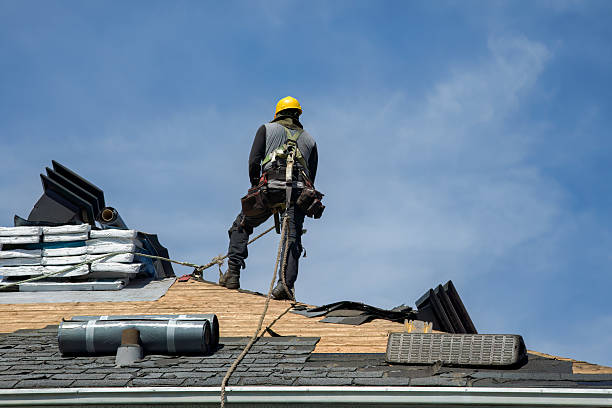 Professional Roof Replacement technician working in Intercession City, FL